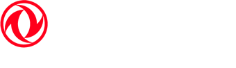 DONGFENG Camiones